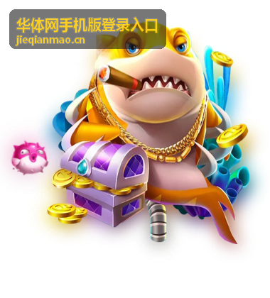 华体网手机版登录入口手机端适配示意