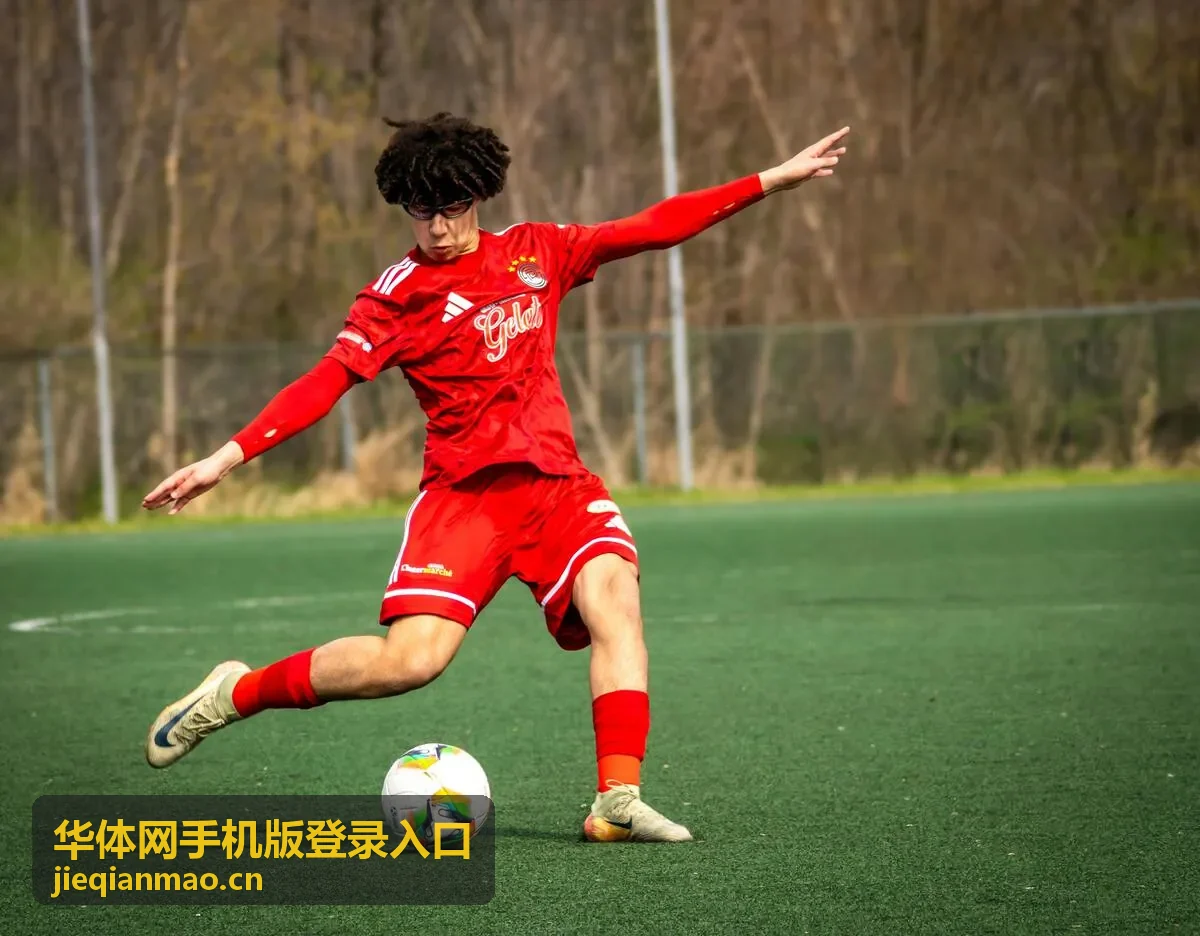 账号信息核对与安全设置示意
