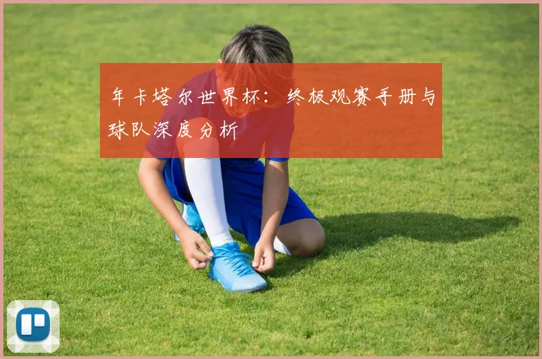 年卡塔尔世界杯：终极观赛手册与球队深度分析