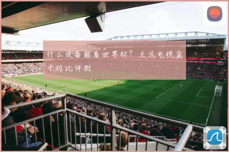 什么设备能看世界杯?主流电视盒子对比评测