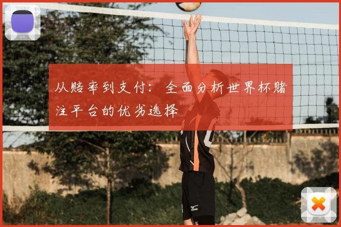 从赔率到支付：全面分析世界杯赌注平台的优劣选择